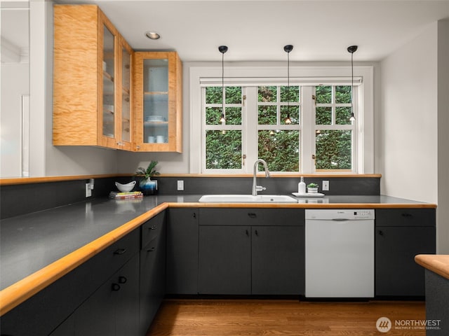 kitchen featuring dishwasher, a sink, healthy amount of natural light, and wood finished floors