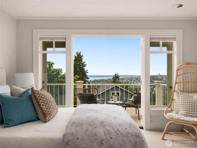 bedroom with crown molding and carpet floors