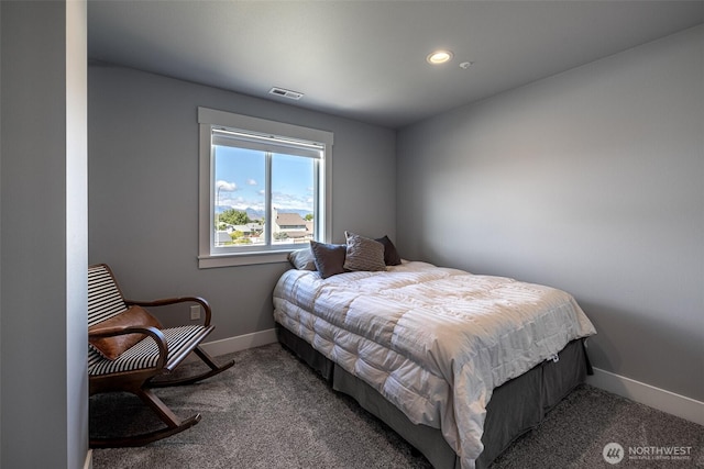 2436 Berkley Loop, East Wenatchee, WA 98802 - bedroom with baseboards, carpet floors, and recessed lighting