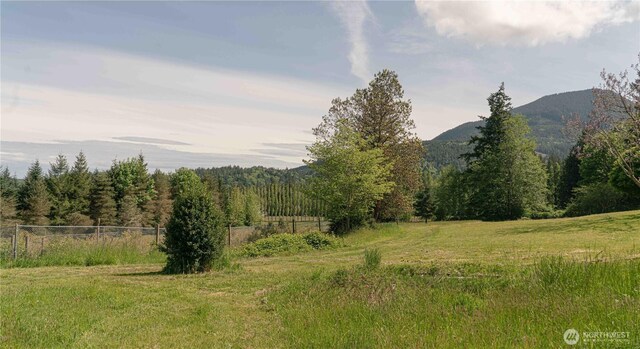 285 Pete Beck Rd, Quilcene, WA 98376 - view of mountain background
