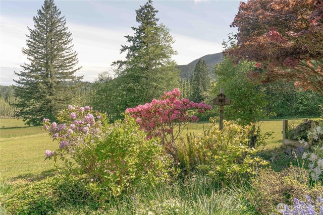 285 Pete Beck Rd, Quilcene, WA 98376 - view of mountain backdrop