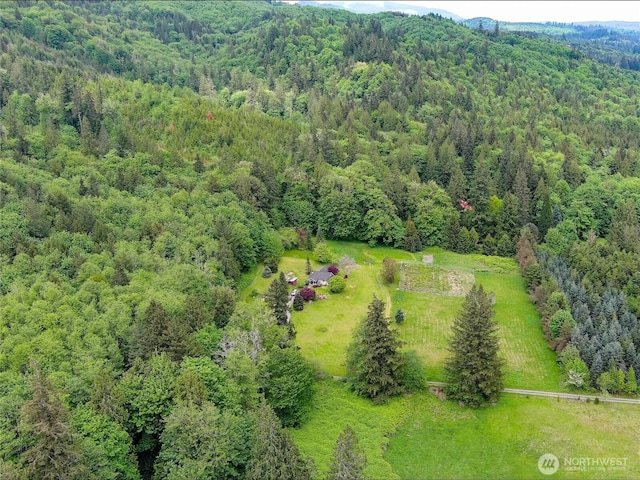 285 Pete Beck Rd, Quilcene, WA 98376 - bird's eye view of a forest