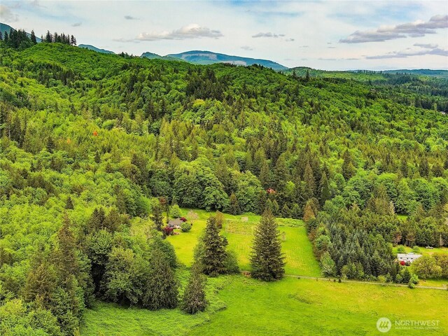 285 Pete Beck Rd, Quilcene, WA 98376 - mountain view with a heavily wooded area