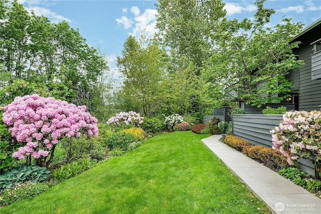 6533 106th Ave NE Unit D, Kirkland, WA 98033 - view of grassy yard
