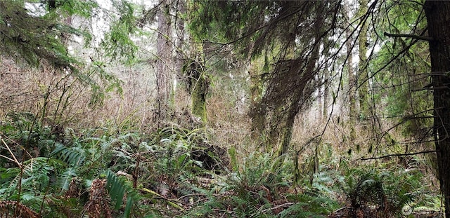 Listing photo 4 - caption unavailable