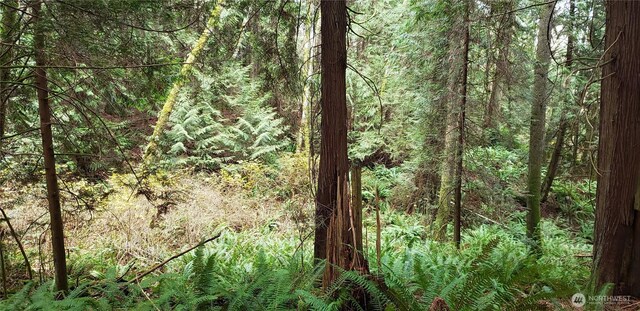 Listing photo 35 - caption unavailable