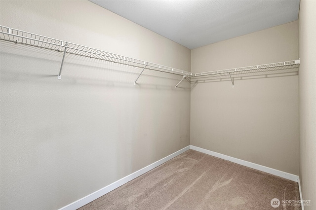 walk in closet with carpet flooring