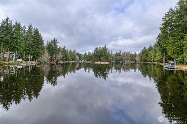 130 E Agate Dr, Shelton, WA 98584 - water view with a forest
