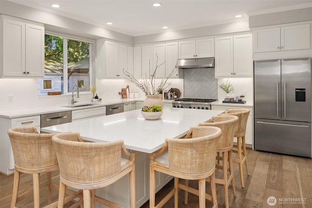 3815 NE 89th St, Seattle, WA 98115 - kitchen featuring appliances with stainless steel finishes, under cabinet range hood, a sink, white cabinetry, and light wood-style flooring