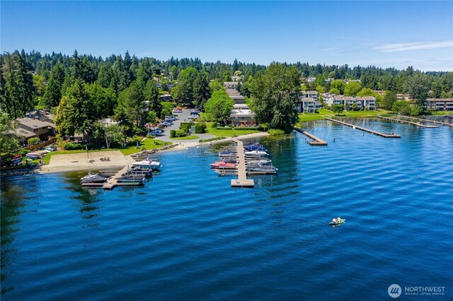 3834 175th Ave NE Unit E49, Redmond, WA 98052 - water view with a dock