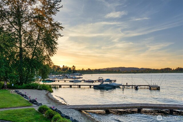 3834 175th Ave NE Unit E49, Redmond, WA 98052 - dock with a water view