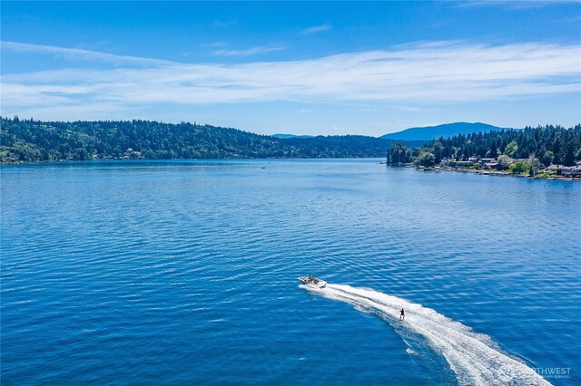 3834 175th Ave NE Unit E49, Redmond, WA 98052 - water view with a mountainous background