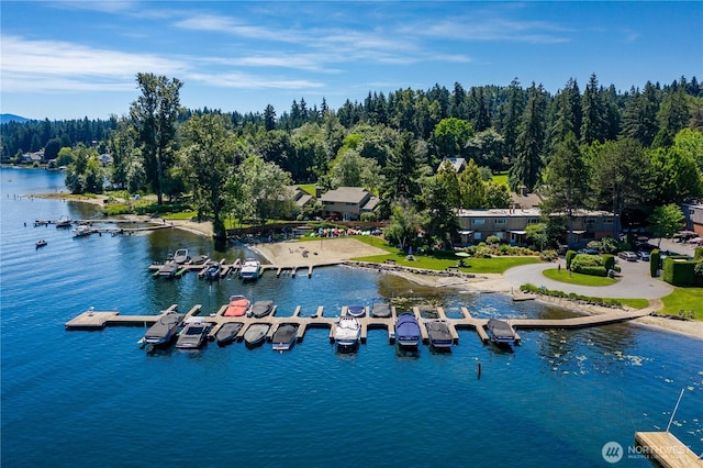 3834 175th Ave NE Unit E49, Redmond, WA 98052 - bird's eye view of a nearby body of water