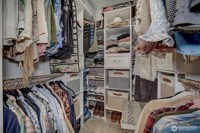 spacious closet featuring carpet floors