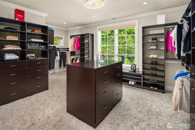 4207 Holly Ln, Mercer Island, WA 98040 - spacious closet with light carpet