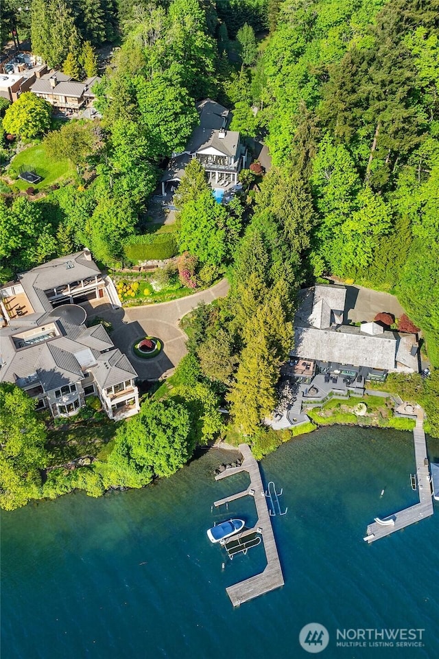 4207 Holly Ln, Mercer Island, WA 98040 - aerial view of a nearby body of water