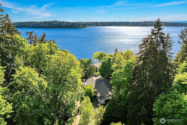4207 Holly Ln, Mercer Island, WA 98040 - aerial view of a nearby body of water and a heavily wooded area