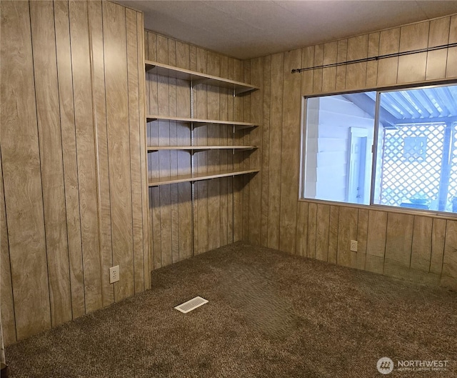 unfurnished room with wood walls and carpet flooring