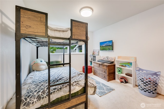 23313 Cedar Way Unit N205, Mountlake Terrace, WA 98043 - bedroom with carpet floors