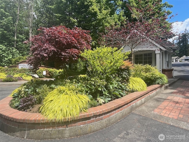 23313 Cedar Way Unit N205, Mountlake Terrace, WA 98043 - view of side of home
