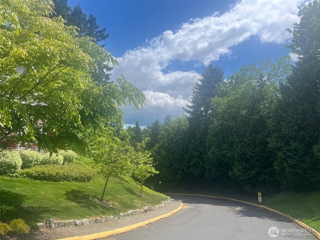 23313 Cedar Way Unit N205, Mountlake Terrace, WA 98043 - view of asphalt road with curbs