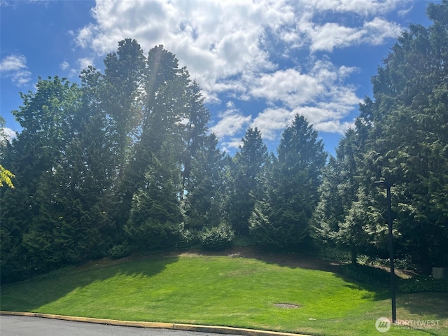 23313 Cedar Way Unit N205, Mountlake Terrace, WA 98043 - view of grassy yard