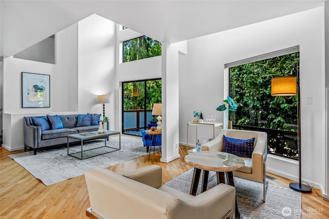 3527 E Spruce St, Seattle, WA 98122 - living room with baseboards, wood finished floors, and a high ceiling