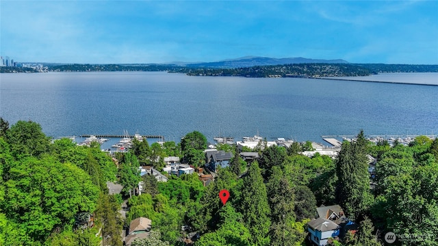 3527 E Spruce St, Seattle, WA 98122 - aerial view of a water and mountain view