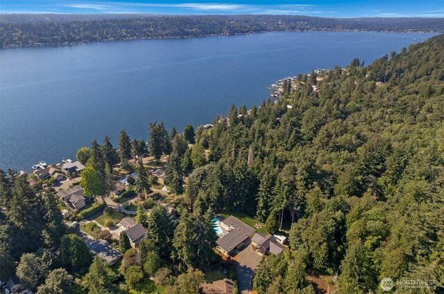 6324 NE 130th Pl, Kirkland, WA 98034 - aerial view of property and surrounding area featuring a heavily wooded area and a large body of water