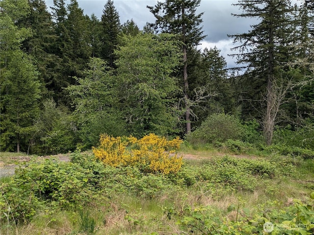 21924 Promontory Ct SE, Yelm, WA 98597