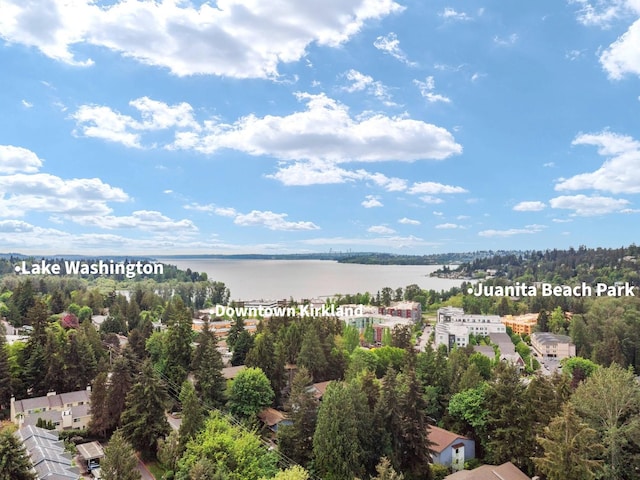 10004 NE 122nd St Unit T-D, Kirkland, WA 98034 - aerial view of a large body of water and a heavily wooded area