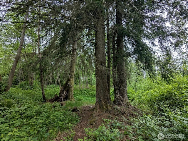 21916 123rd Ave NE, Arlington, WA 98223