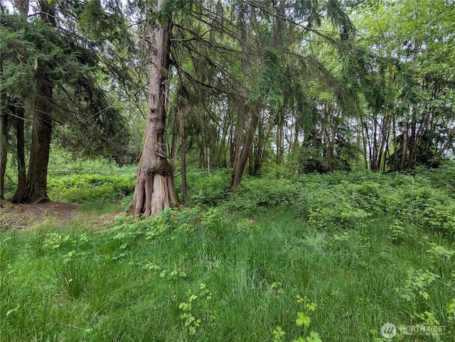 21916 123rd Ave NE, Arlington, WA 98223