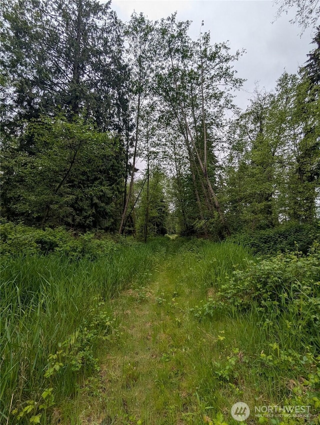 21916 123rd Ave NE, Arlington, WA 98223