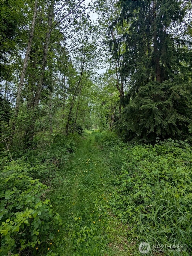 21916 123rd Ave NE, Arlington, WA 98223