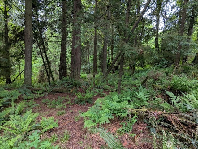 21916 123rd Ave NE, Arlington, WA 98223