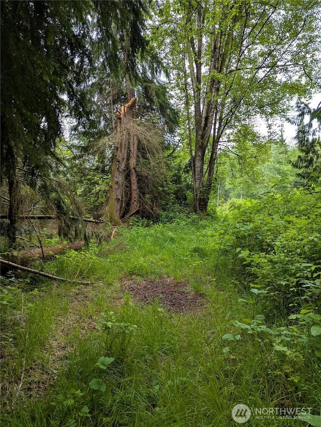 21916 123rd Ave NE, Arlington, WA 98223