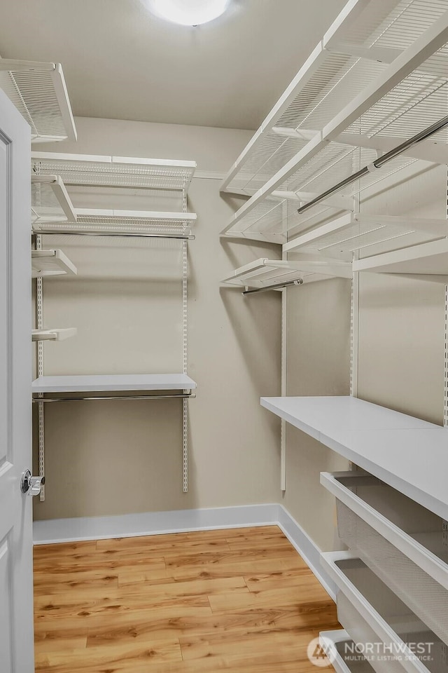 walk in closet with wood finished floors