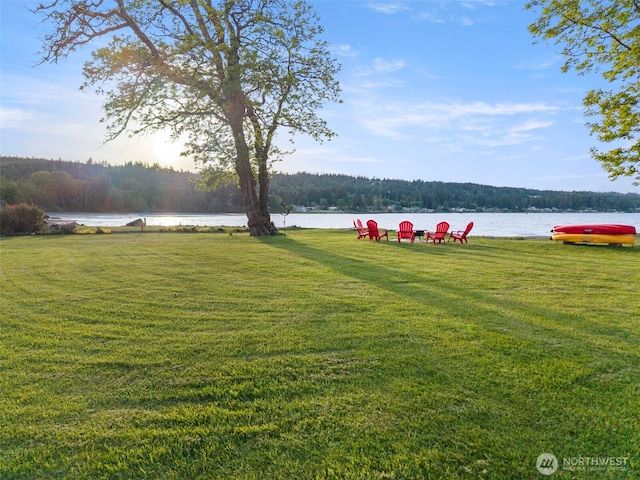 4354 Dyes Inlet Rd NW, Bremerton, WA 98312 - view of green lawn featuring a water view and a view of trees
