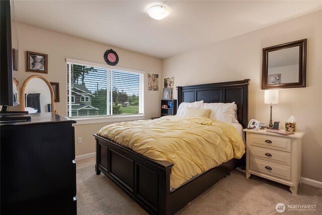 5726 145th Street Ct E, Puyallup, WA 98375 - photo 15