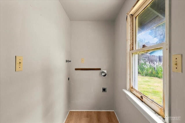 508 N 95th St, Seattle, WA 98103 - laundry area featuring electric dryer hookup, wood finished floors, and baseboards