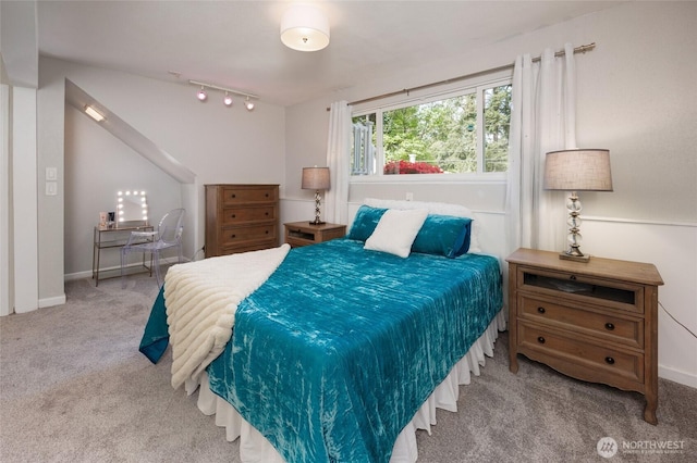 24222 92nd Ave W, Edmonds, WA 98020 - bedroom featuring carpet floors and rail lighting