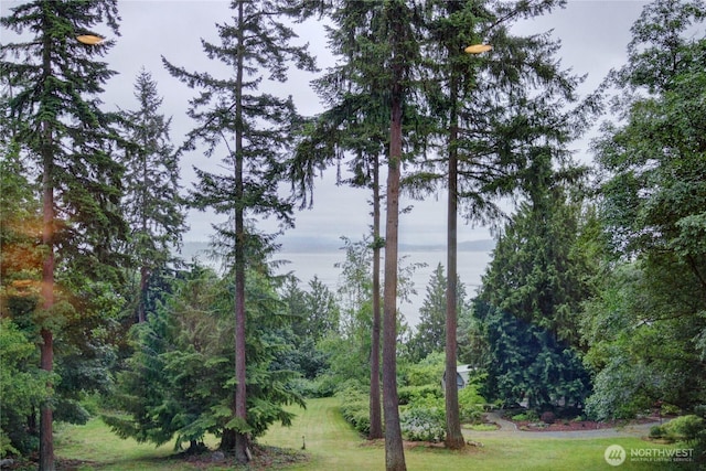 362 N Sunrise Blvd, Camano Island, WA 98282 - view of grassy yard