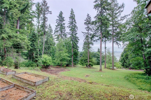 362 N Sunrise Blvd, Camano Island, WA 98282 - view of grassy yard featuring a garden