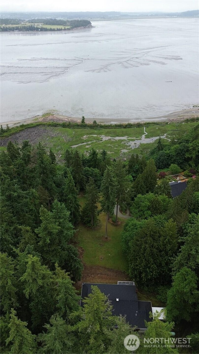 362 N Sunrise Blvd, Camano Island, WA 98282 - aerial view of property's location featuring a nearby body of water