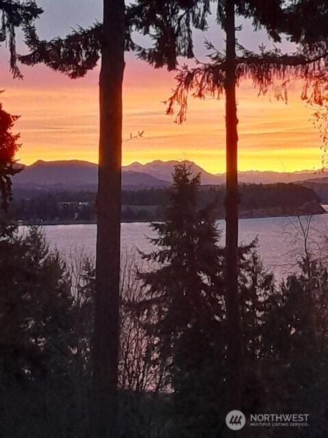 362 N Sunrise Blvd, Camano Island, WA 98282 - water view with a mountainous background