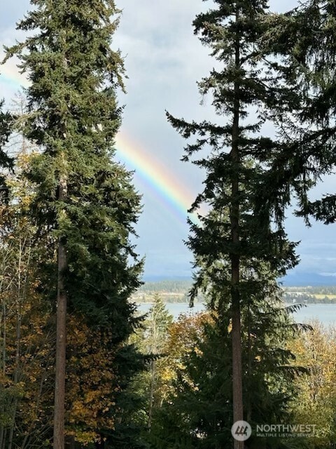 362 N Sunrise Blvd, Camano Island, WA 98282 - view of local wilderness with a nearby body of water