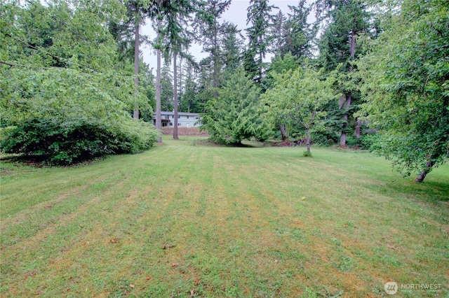 362 N Sunrise Blvd, Camano Island, WA 98282 - view of green lawn
