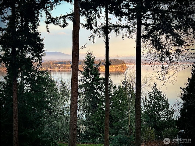362 N Sunrise Blvd, Camano Island, WA 98282 - water view