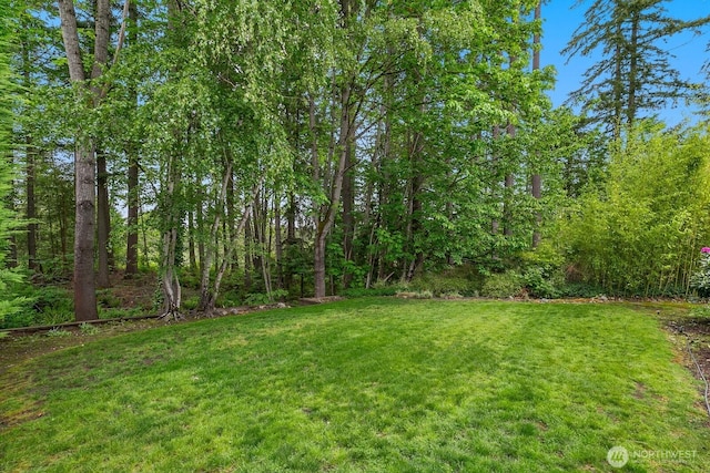 23322 SE 26th Pl, Sammamish, WA 98075 - view of green lawn